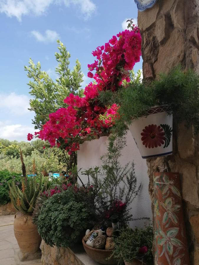 Alojamiento Rural Masia Valldeperez L'Ampolla Exteriér fotografie