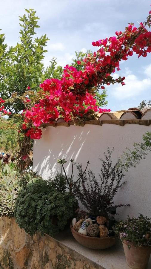 Alojamiento Rural Masia Valldeperez L'Ampolla Exteriér fotografie